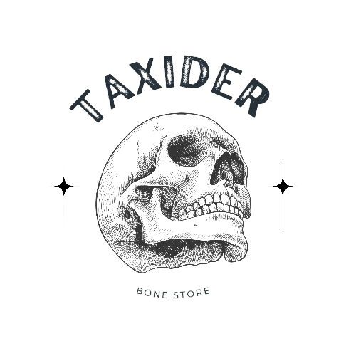 TAXIDER MY BONE SHOP